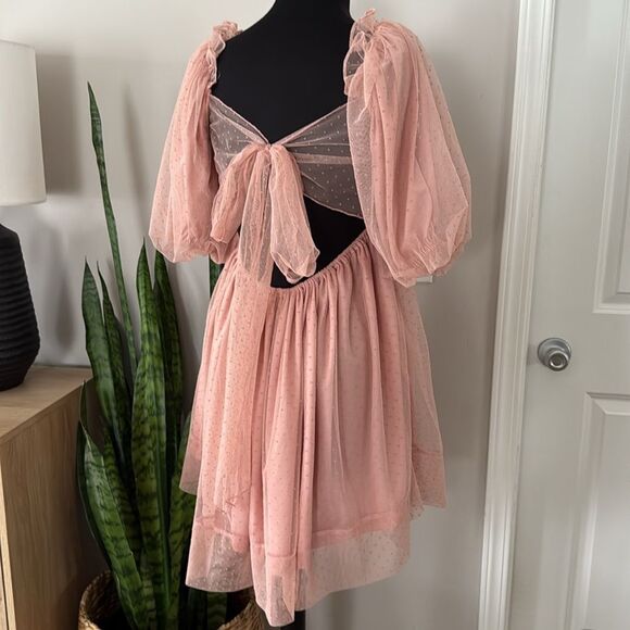 Mable Whimsical Blush Organza Babydoll Muse Chiffon Tulle Swiss Dot Skater Dress - Picture 9 of 13